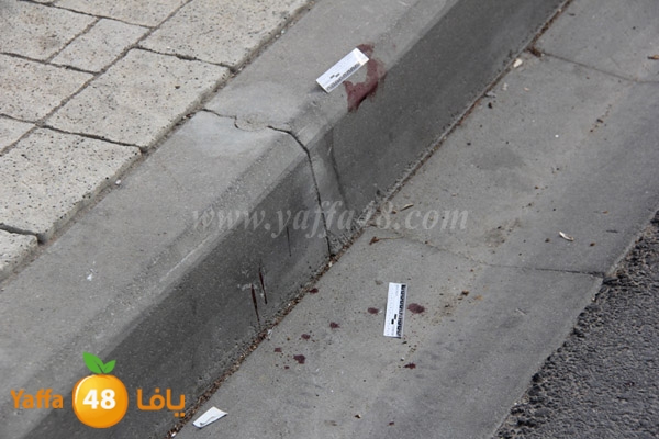 ta3n n 11123 (3).JPG